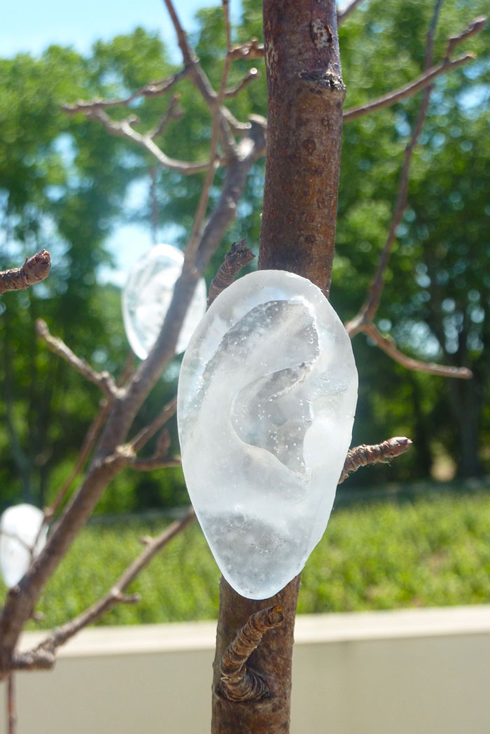 L'arbre mémoire (détail) - Galerie Deleuze Rochetin